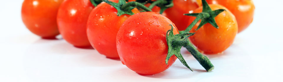 区块链系统的DDOS压力测试